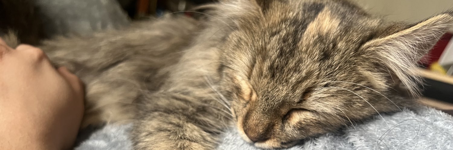 NadiaBetsabeL's profile banner image