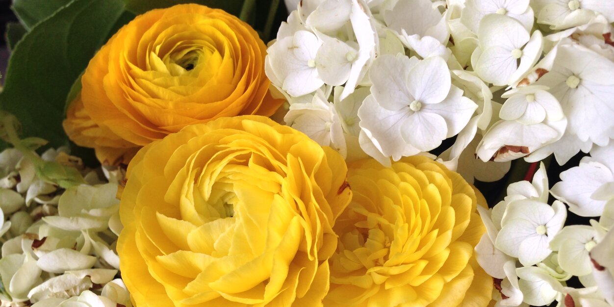 The_StyleAgent's profile banner image