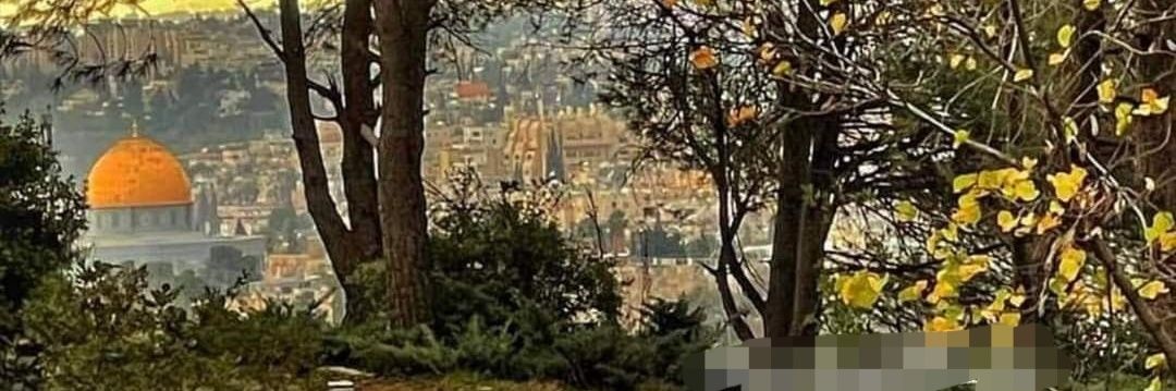 Fathi Misha'al banner