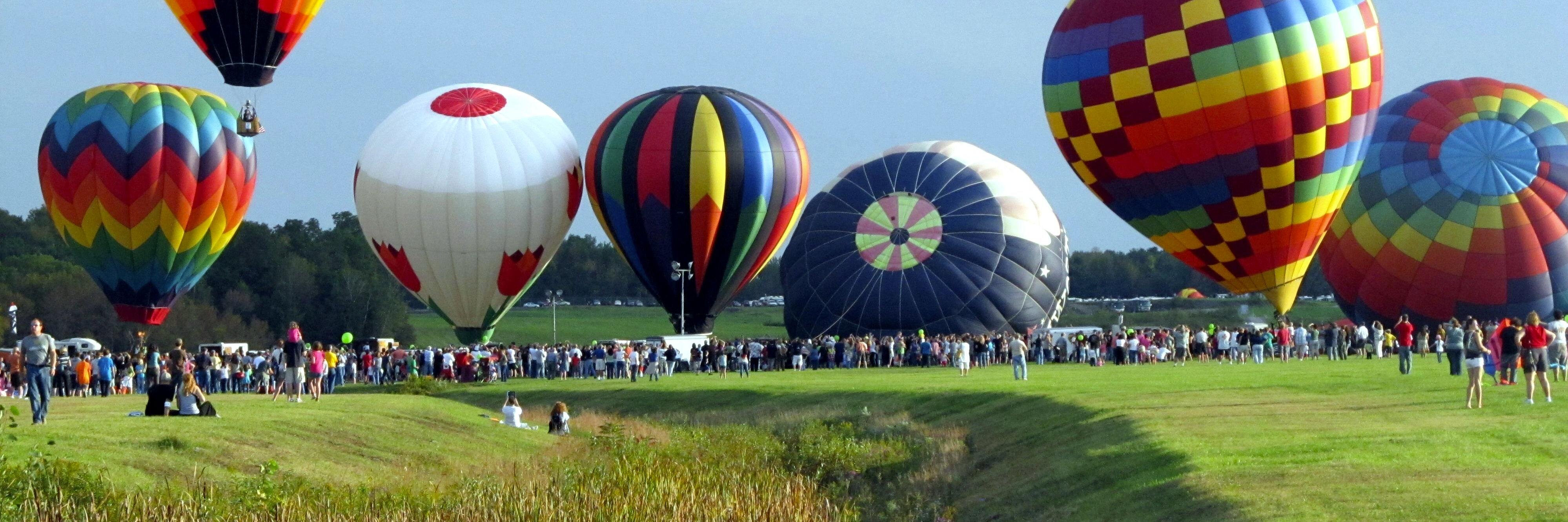 Mary Bivacqua banner