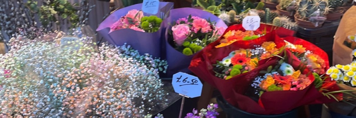 farah_elb's profile banner image