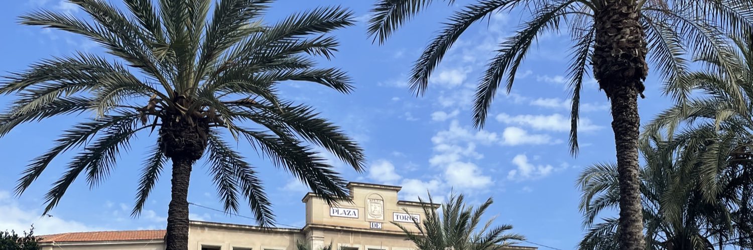 ValuAngeli's profile banner image