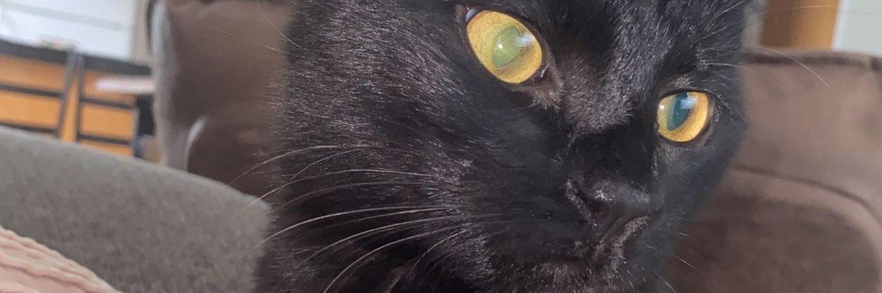 kaileyph99's profile banner image