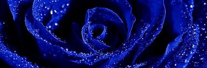 Always_Udream's profile banner image