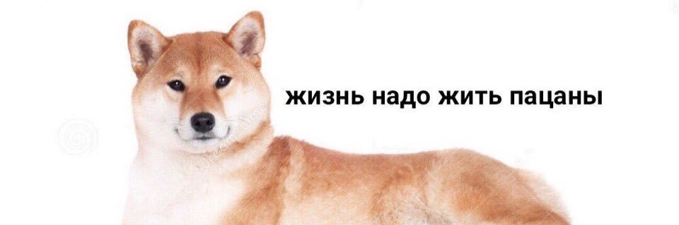 qusonix's profile banner image