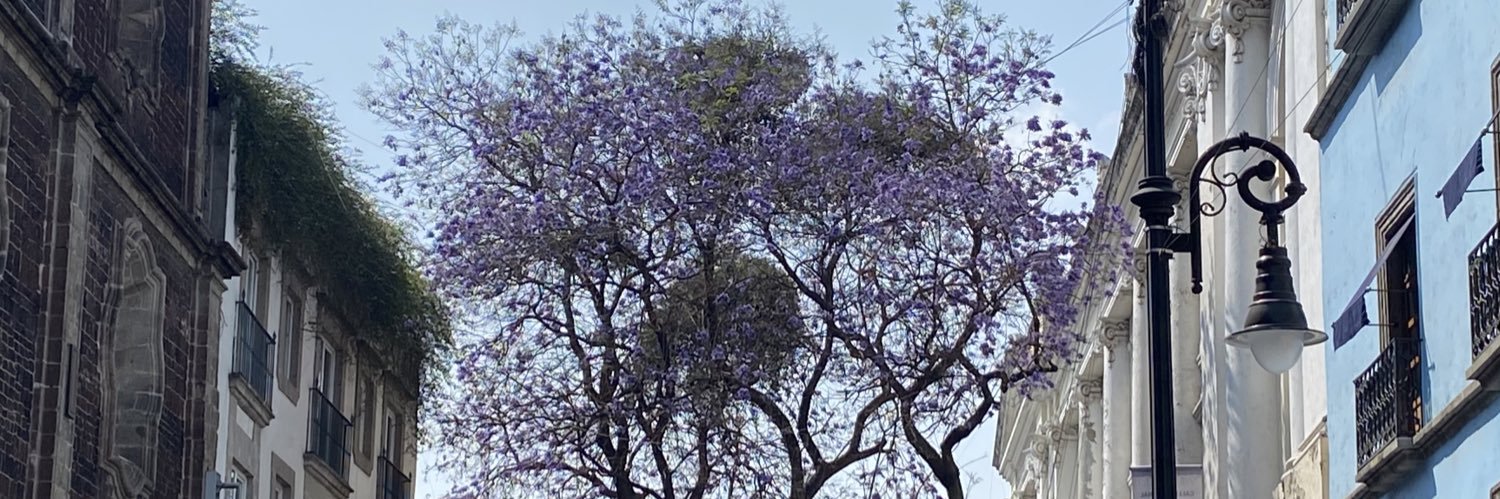 chilate socialista banner