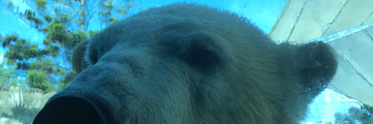 Benjamin Coombe banner