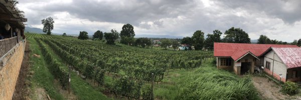 marnntoeoo Profile Banner