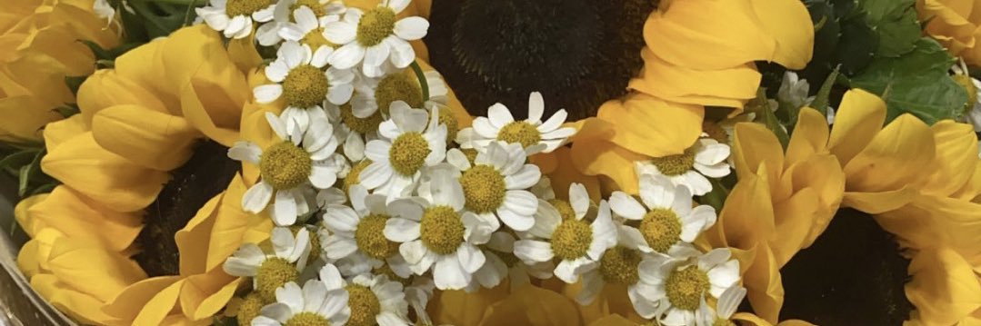 lxy203's profile banner image