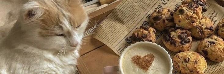 dani 🥢 VI A BTS banner