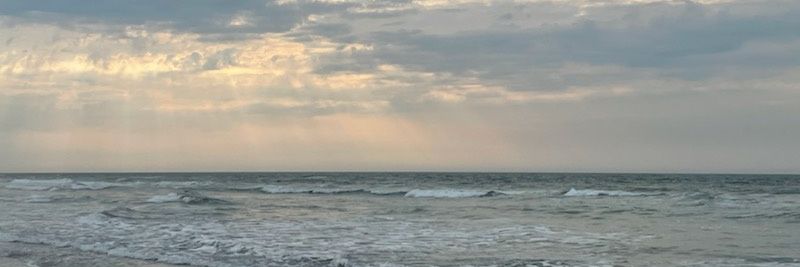 Jennifer Staver banner