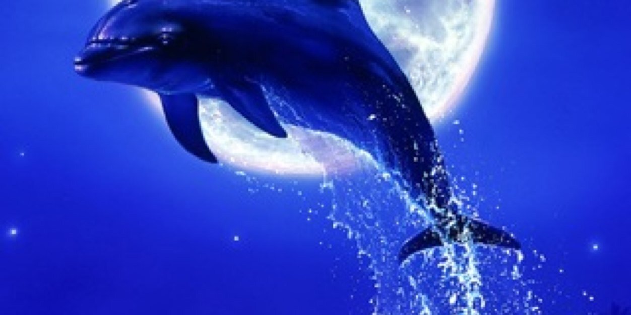 しべりあさん@Ridill鯖 banner