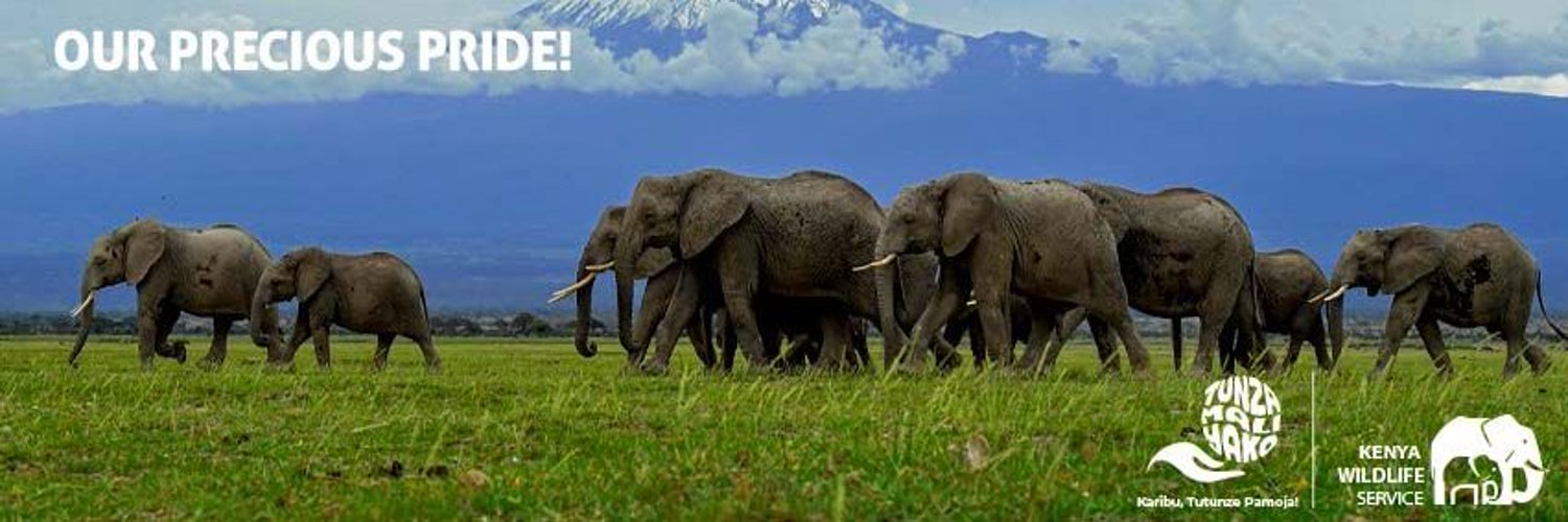Kenya Wildlife Service Profile Banner