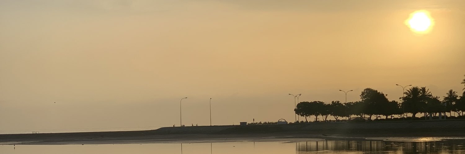 Amenisy_'s profile banner image