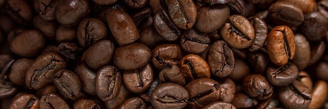 Alex Brohammer banner