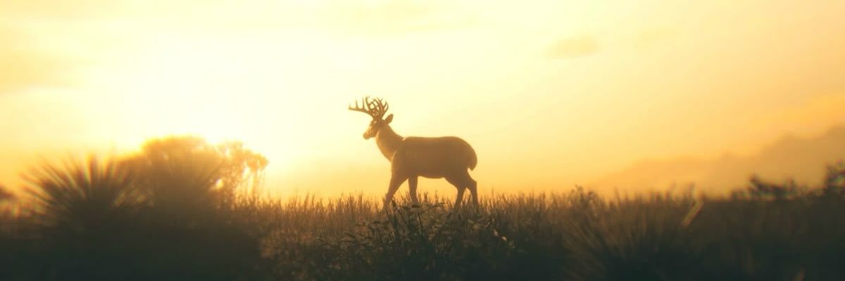 josefermln's profile banner image
