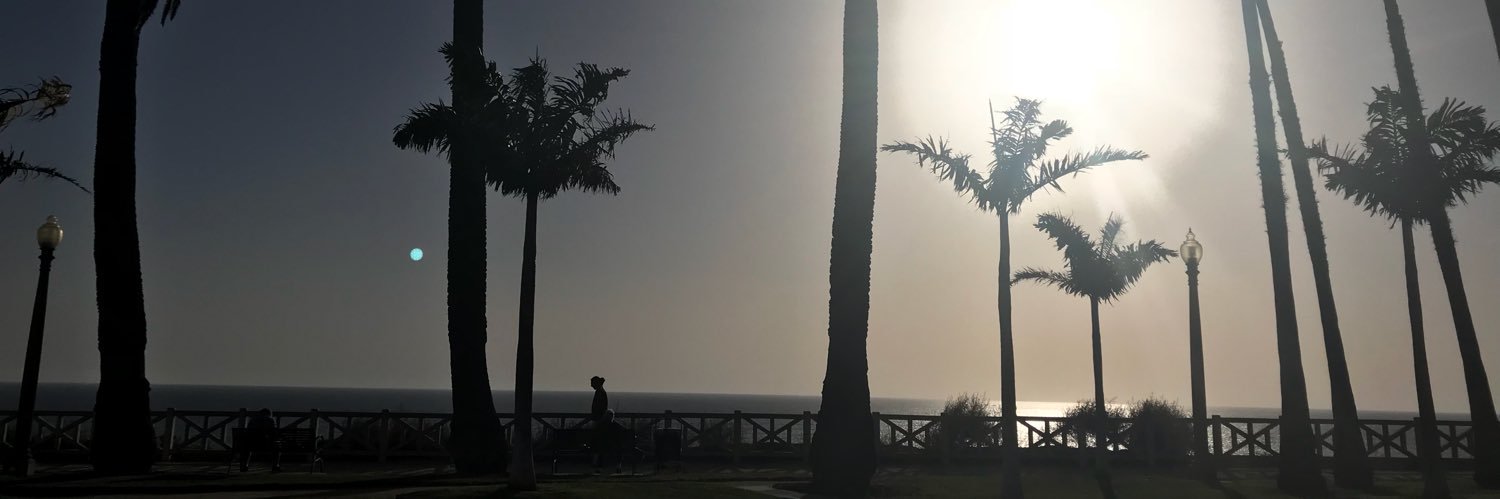 AngN_N's profile banner image