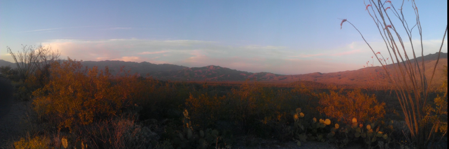 Matt Lazell-Fairman banner