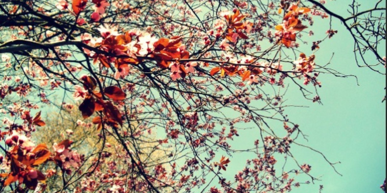 NothingLastsForever banner