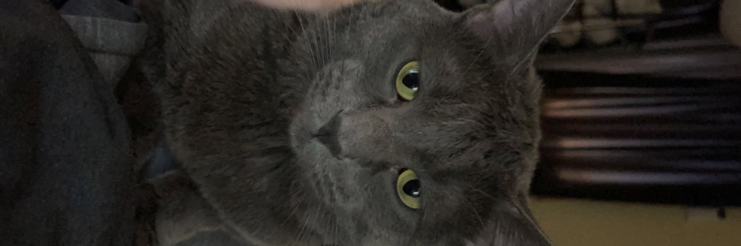 ashleeeylee's profile banner image