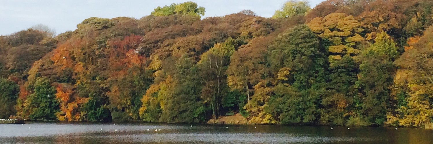 spurcy's profile banner image