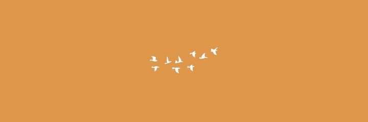 mimema__'s profile banner image