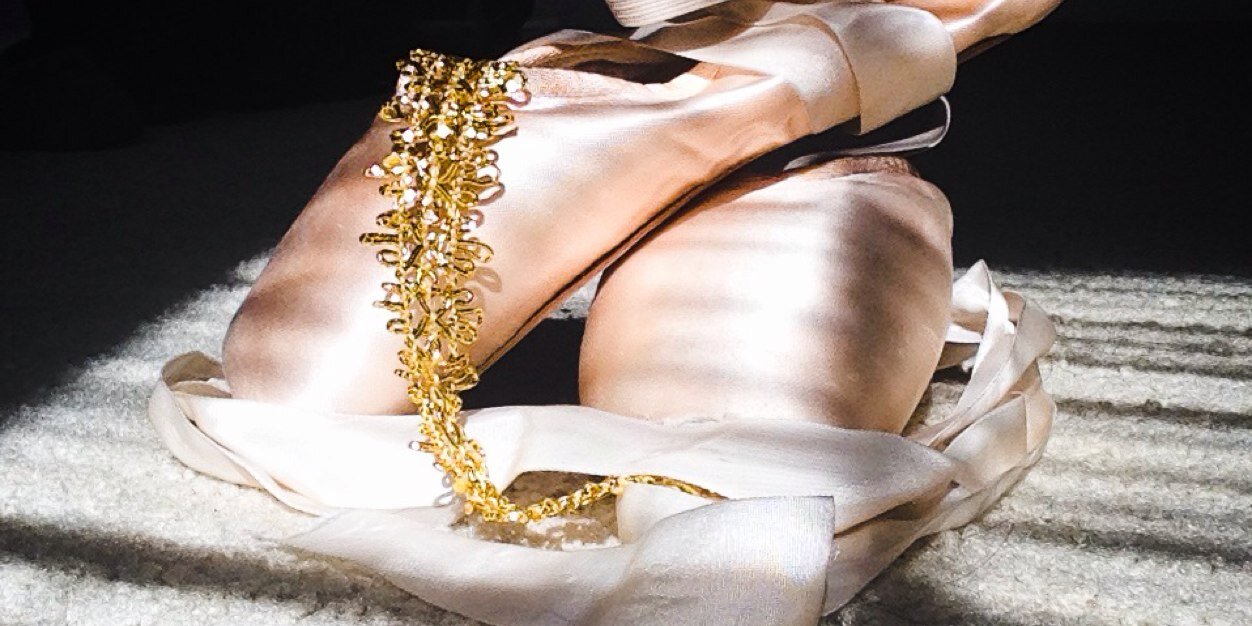 AlexShortchic16's profile banner image