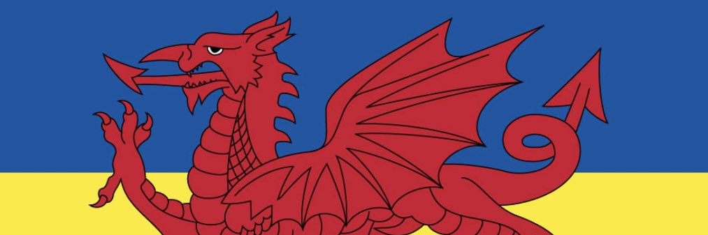 mwaindow's profile banner image