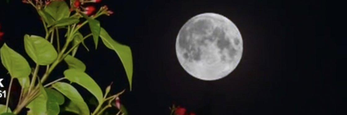 qwrhyj's profile banner image