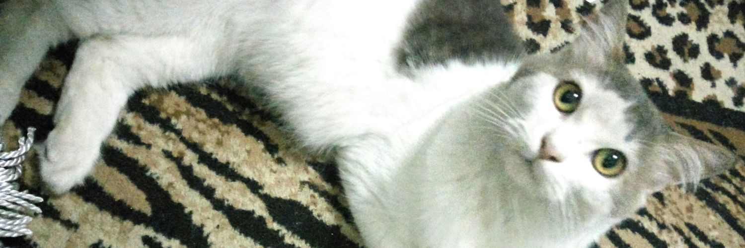 Riyan91H's profile banner image