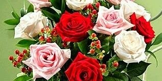 hadasrawdh112's profile banner image