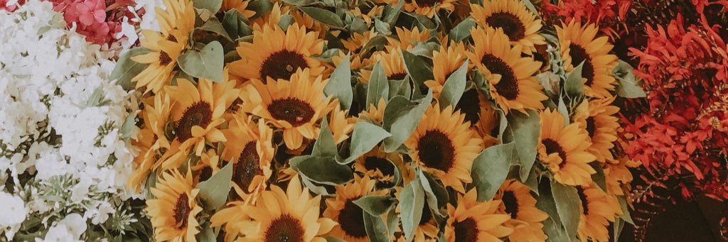 sydcolemann's profile banner image