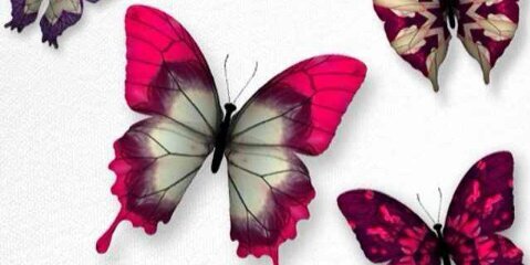elen_pg's profile banner image