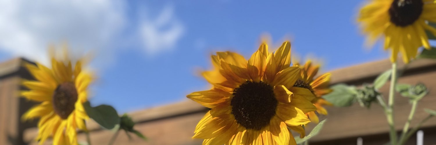 jvaillxo's profile banner image