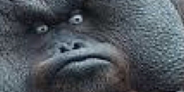 santicheeks's profile banner image