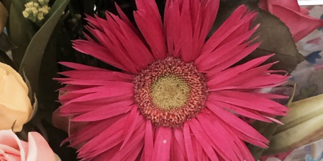 DanellJC's profile banner image