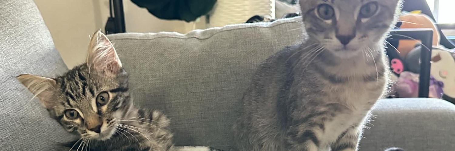 Kyle Anderson 𒉭 banner