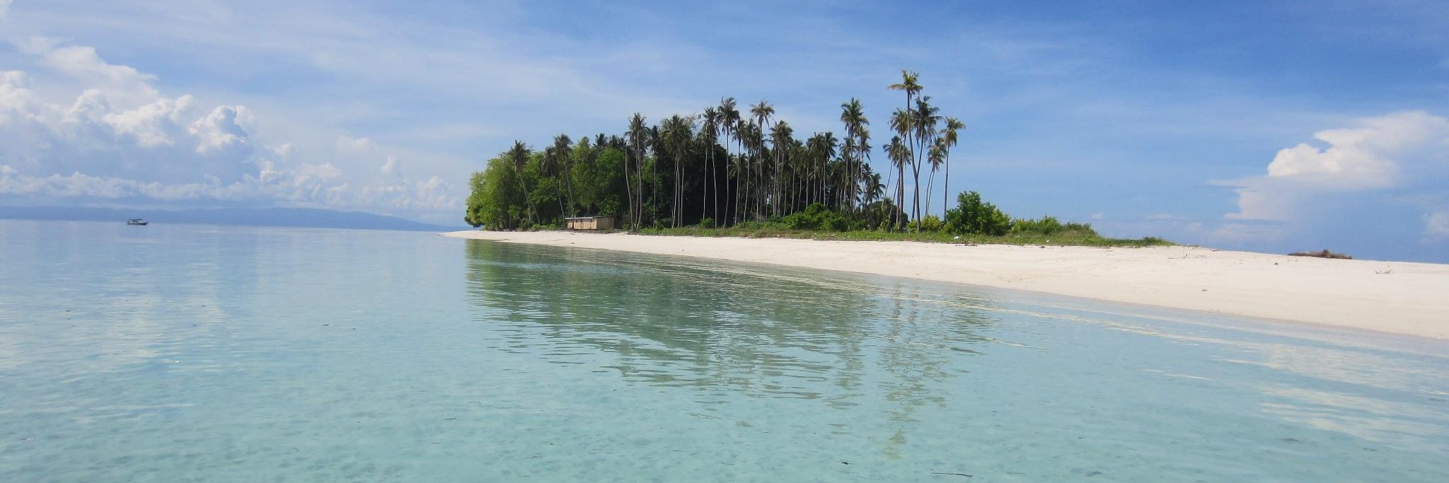 Tιɱ Sƈαɾɾσƚƚ banner