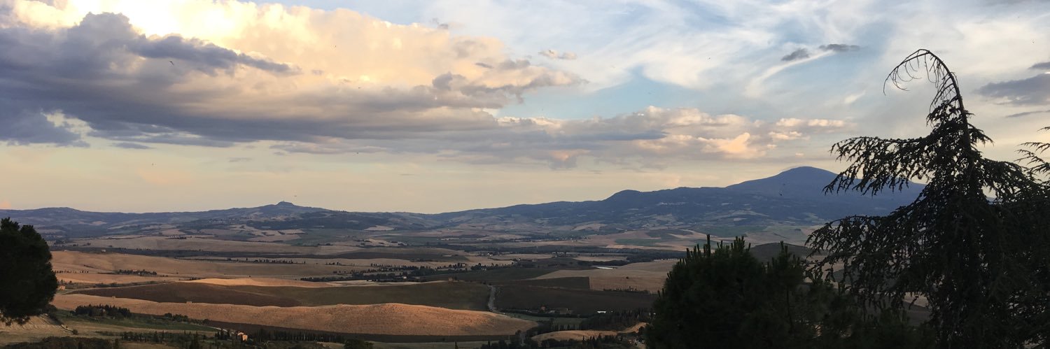 PBucalossi's profile banner image