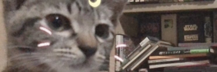 oregon_kan's profile banner image