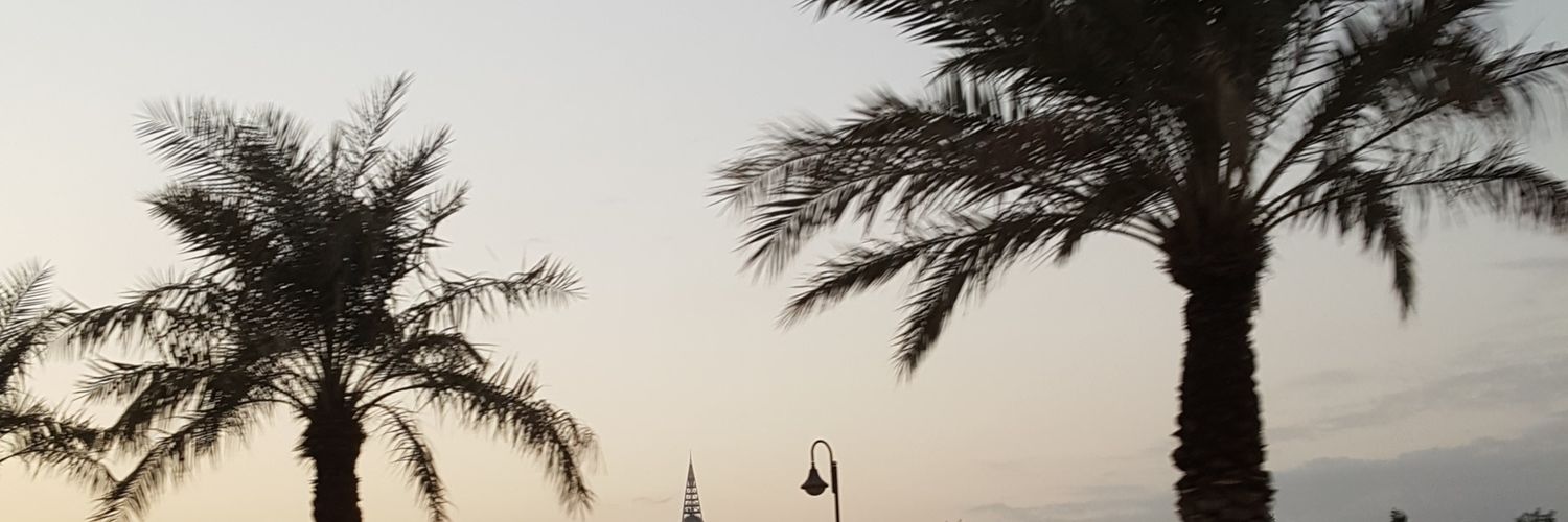 moonhope11's profile banner image