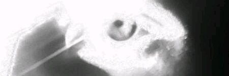 MagnusDragon1's profile banner image