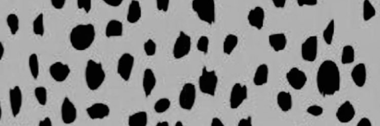 BeelerRylee's profile banner image