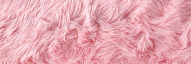 dellamalia's profile banner image
