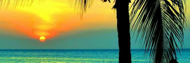 vanessabot81's profile banner image