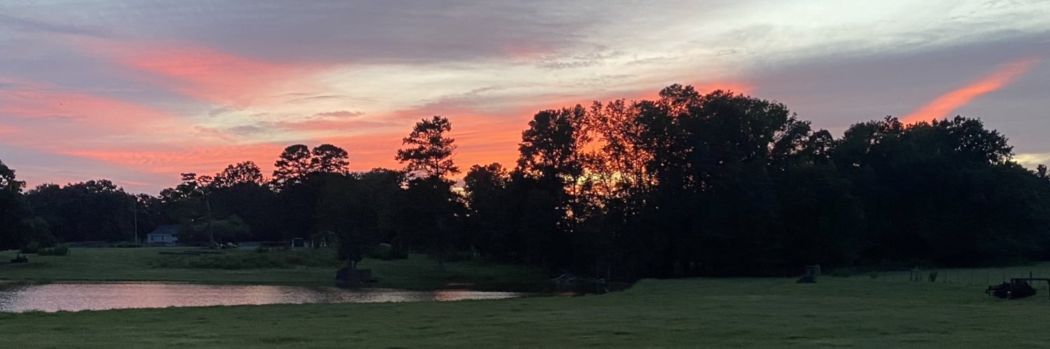 stephsheppard22's profile banner image