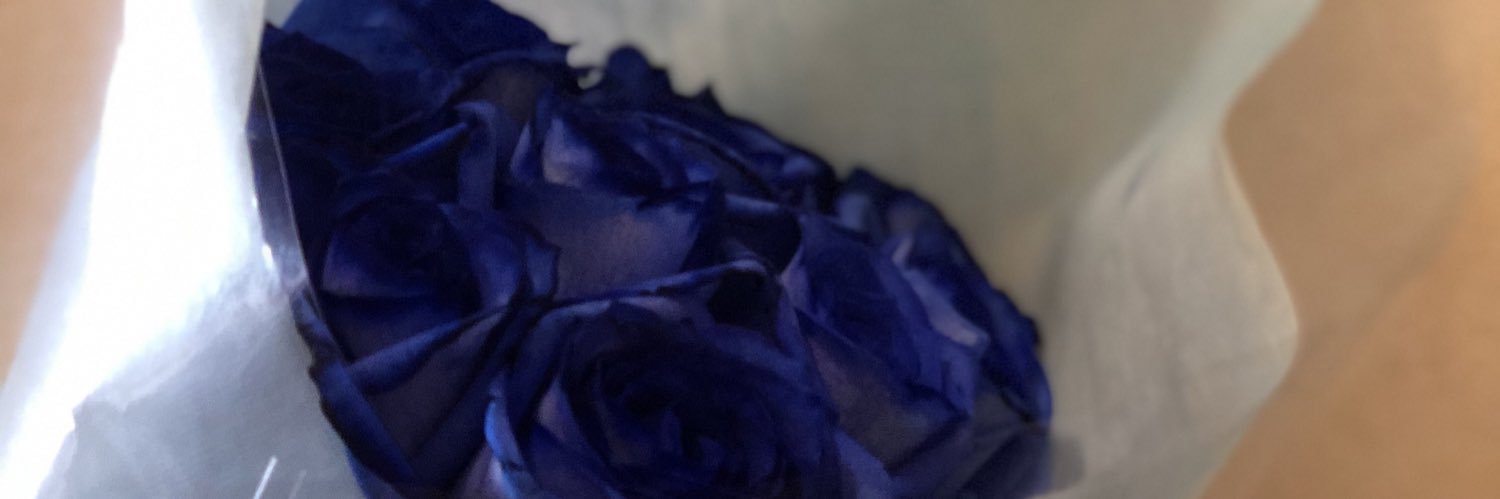 veryverysummer's profile banner image