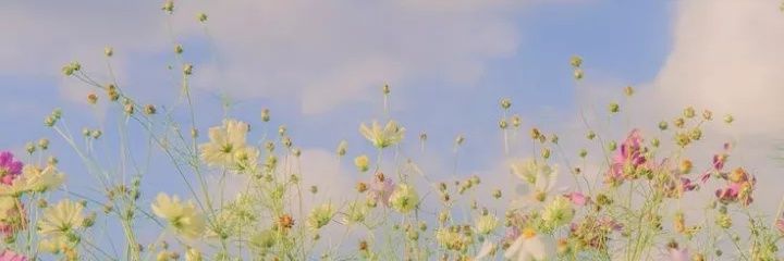 znaphisaa's profile banner image