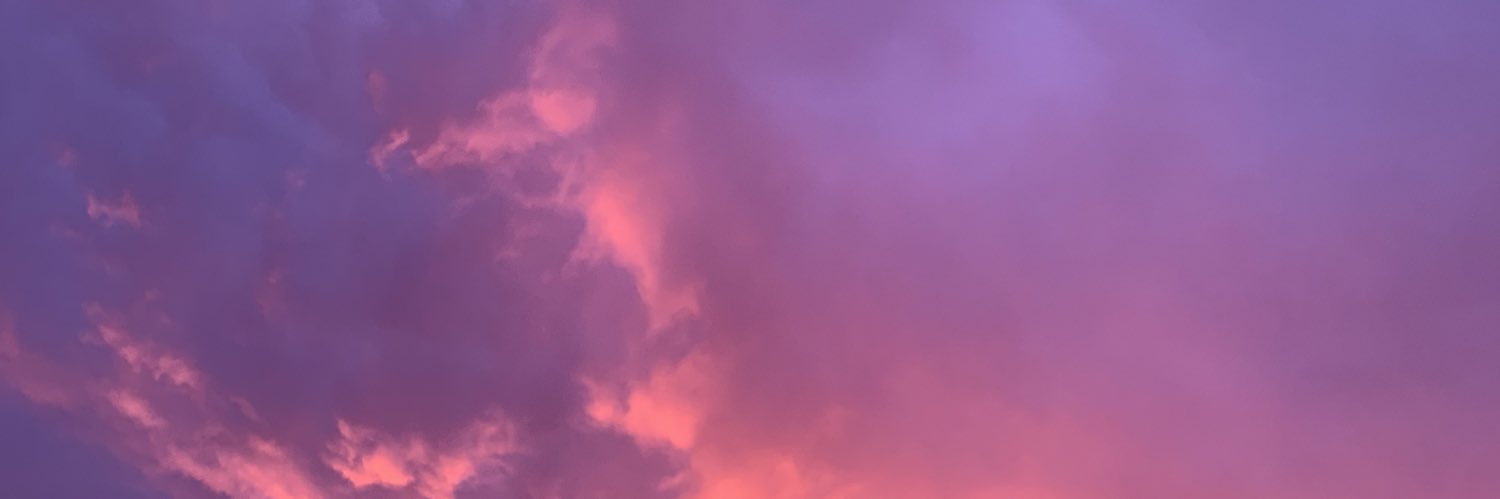 perlakarinac's profile banner image