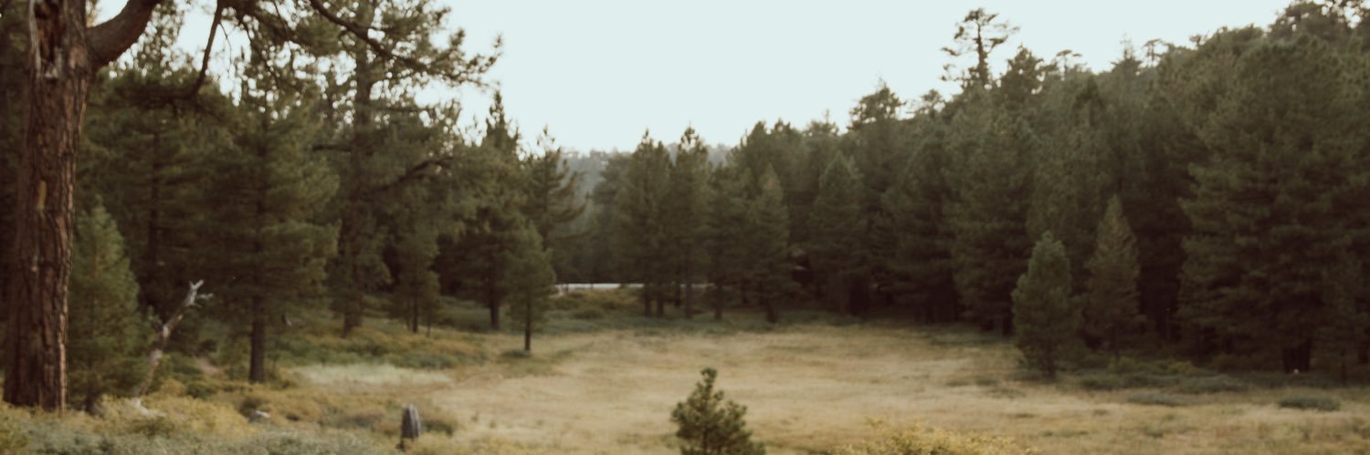 TheMindofSol's profile banner image